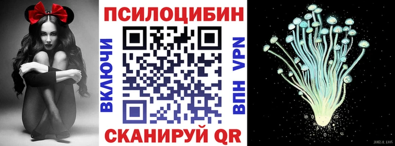 наркотики  Светлогорск  Галлюциногенные грибы ЛСД 