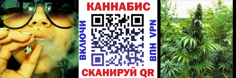 Шишки марихуана сатива Светлогорск